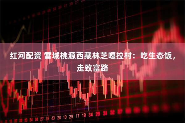 红河配资 雪域桃源西藏林芝嘎拉村：吃生态饭，走致富路