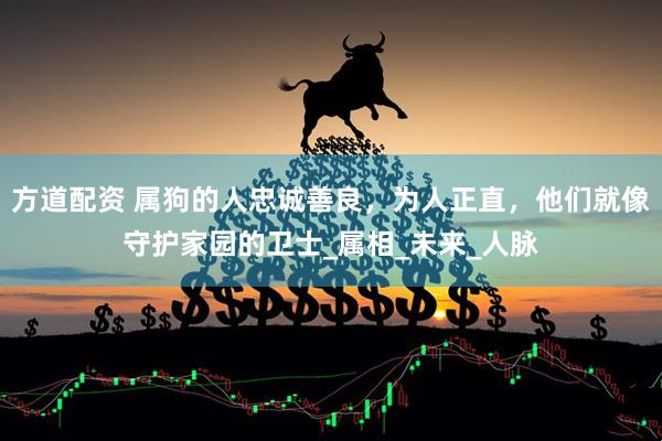 方道配资 属狗的人忠诚善良，为人正直，他们就像守护家园的卫士_属相_未来_人脉