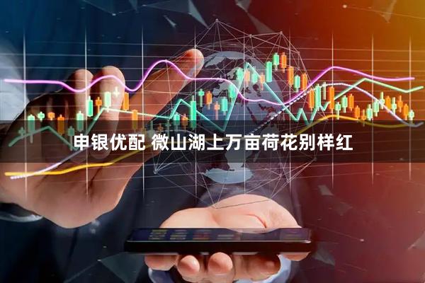 申银优配 微山湖上万亩荷花别样红