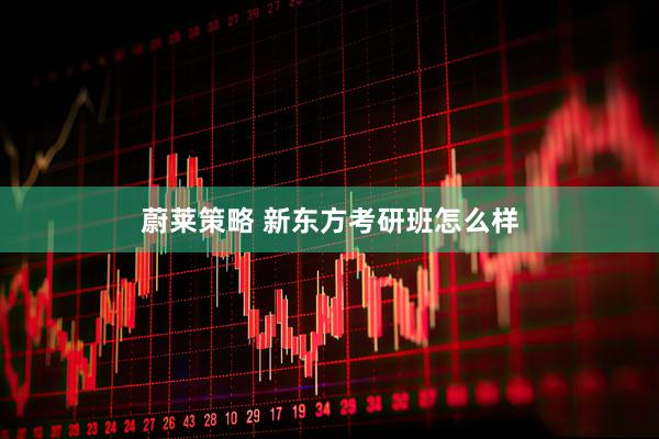 蔚莱策略 新东方考研班怎么样