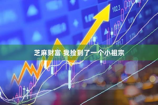 芝麻财富 我捡到了一个小祖宗