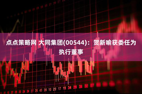点点策略网 大同集团(00544)：贺新喻获委任为执行董事